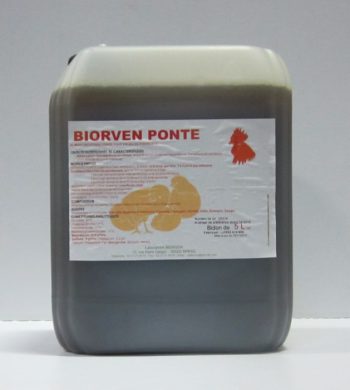 Biorven Ponte